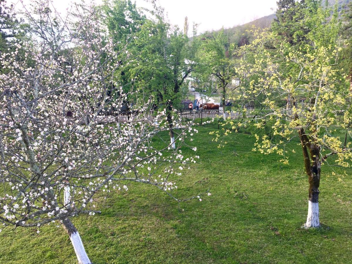 Martv'Elle Boutique Guesthouse Martvili Εξωτερικό φωτογραφία