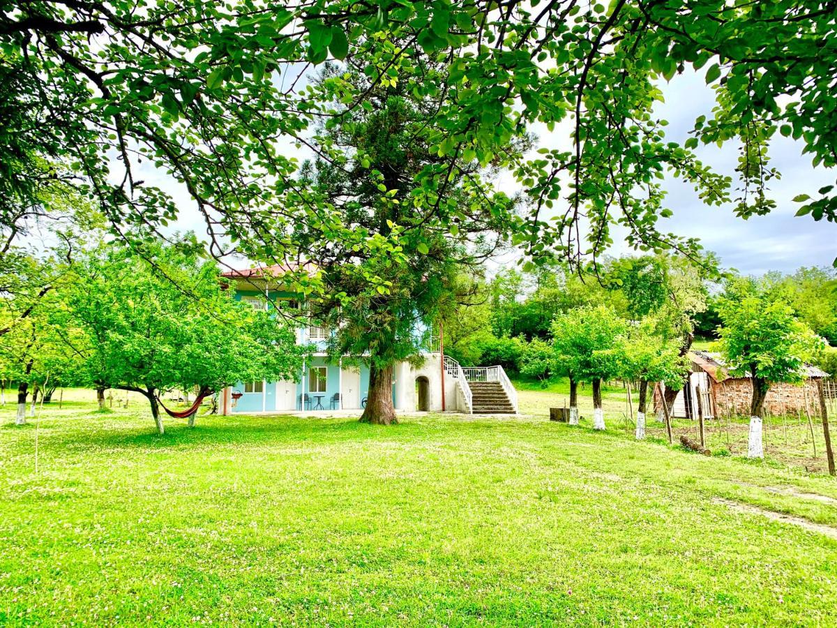 Martv'Elle Boutique Guesthouse Martvili Εξωτερικό φωτογραφία