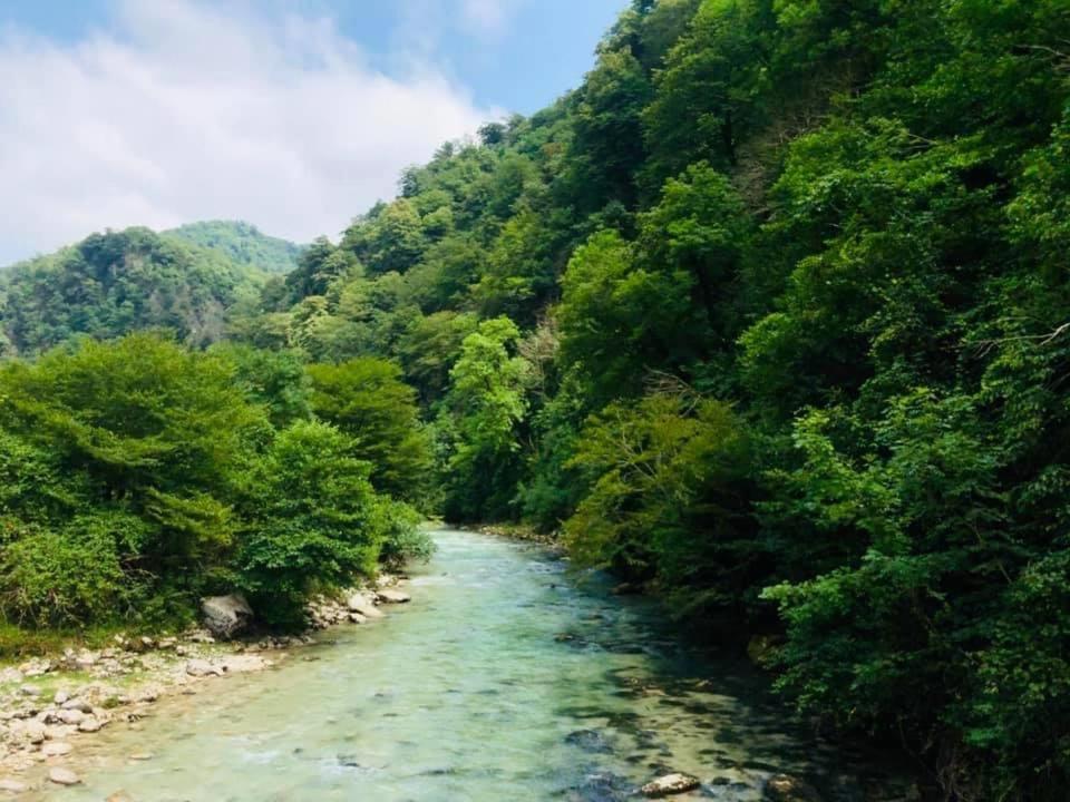 Martv'Elle Boutique Guesthouse Martvili Εξωτερικό φωτογραφία